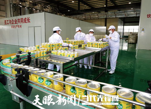 相約多彩貴州 暢想醉美文旅丨我省組團參加第十七屆深圳文博會