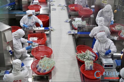 兩岸融合在北海 從玻璃鋼孵化桶看日常融合新篇章